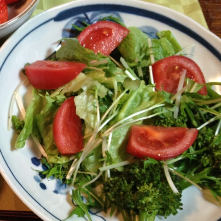 水菜とレタスのサラダ♡